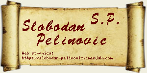 Slobodan Pelinović vizit kartica